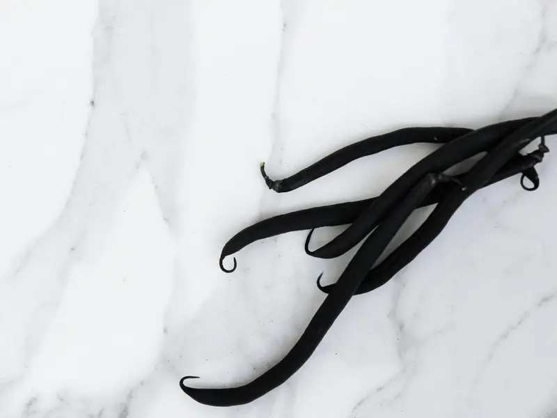 Herfst geuren trends 2025